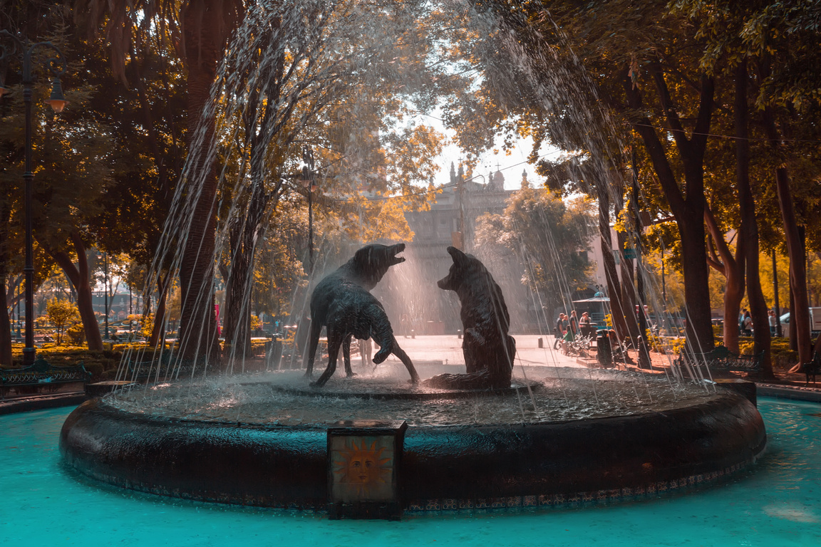 Coyoacan, Mexico City, Mexico-20 April, 2019: Drinking Coyotes S